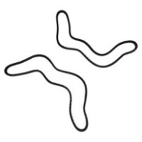 Ремінь клиновий зубчастий...