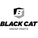Black cat
